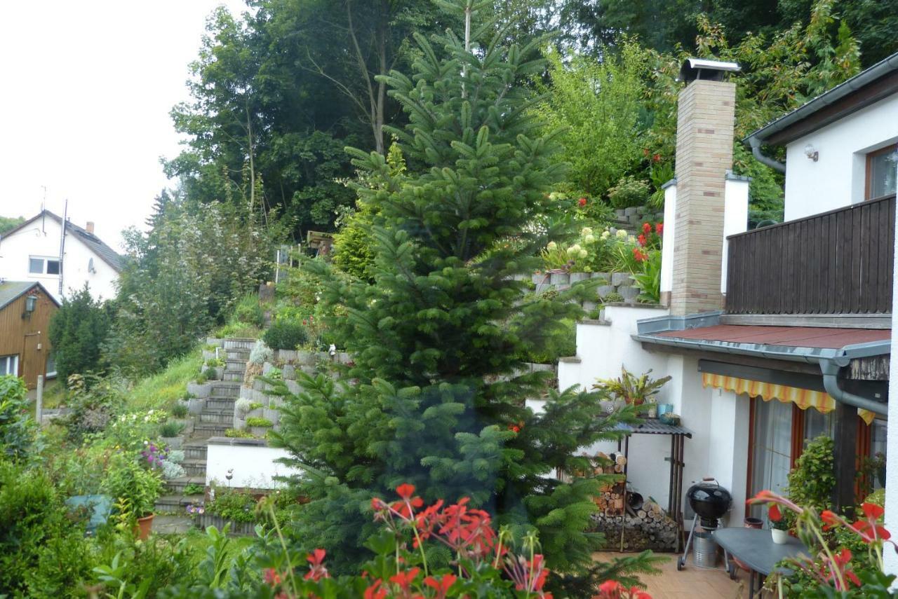 Pension Johannistal Sebnitz Exterior foto